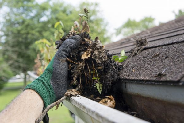 Cleaning,Gutters,During,The,Summer,Time.